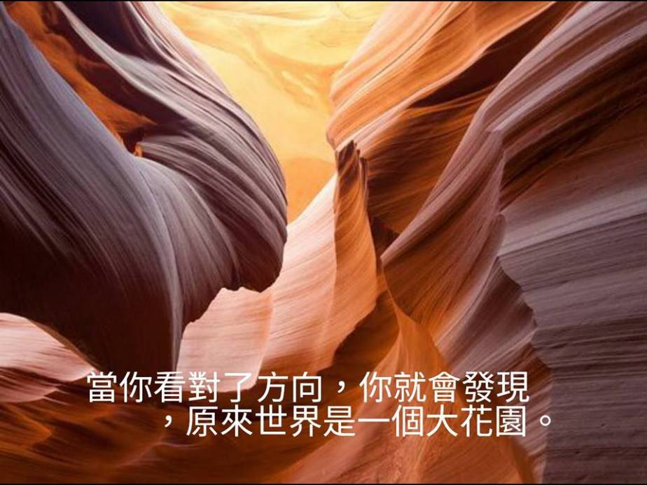 12509259_989965781073925_942055280607965283_n