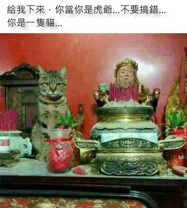 12509684_1691375204433908_620-689