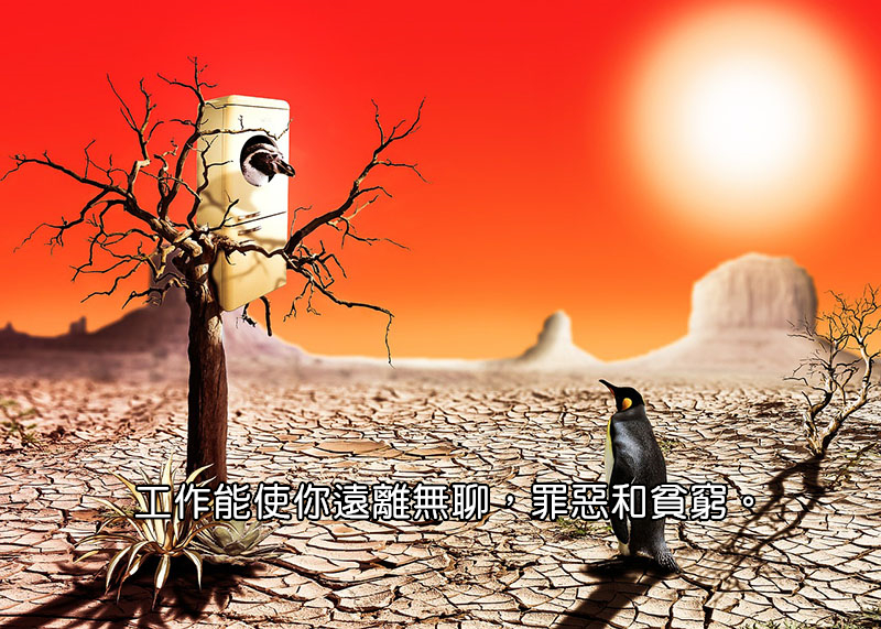 photo-montage-482628_800