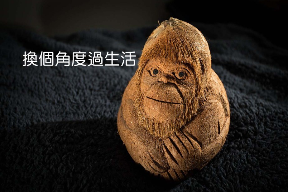 monkey-166271_1280-2