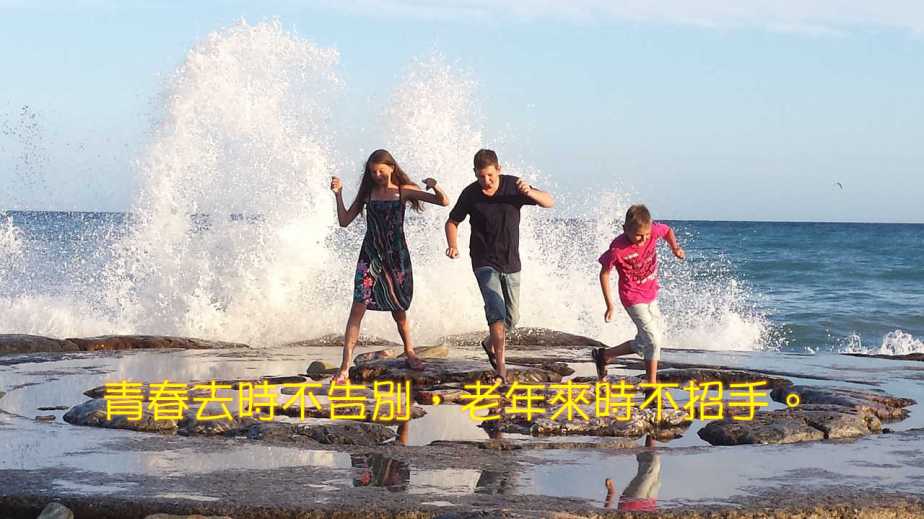 racing-1098712_1280-2