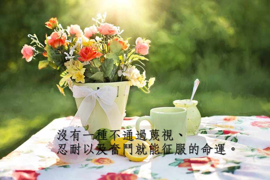 summer-still-life-783347_1280-2