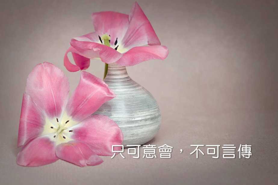 flower-1374867_1280-2