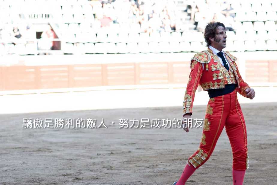 matador-389398_1280-2