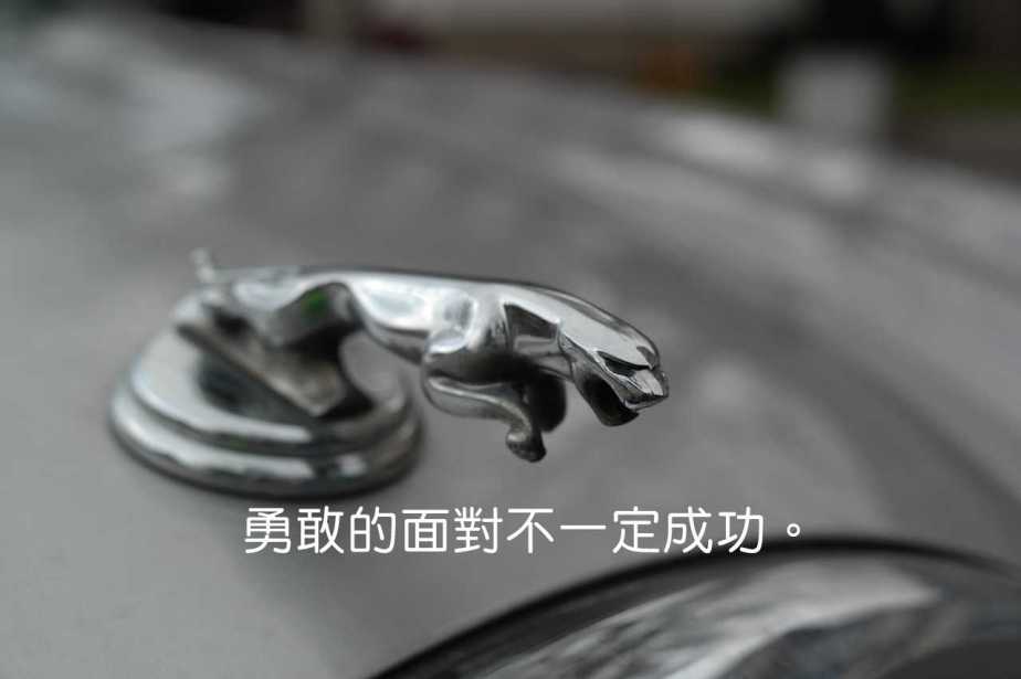 jaguar-999515_1280-2