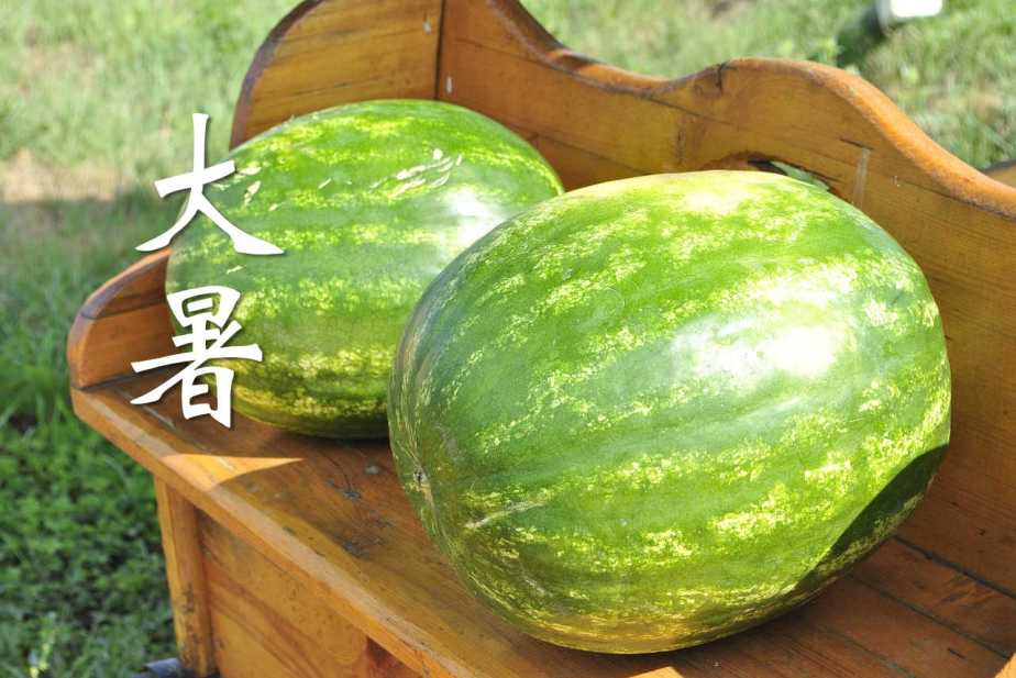 melon-897446_1280-2
