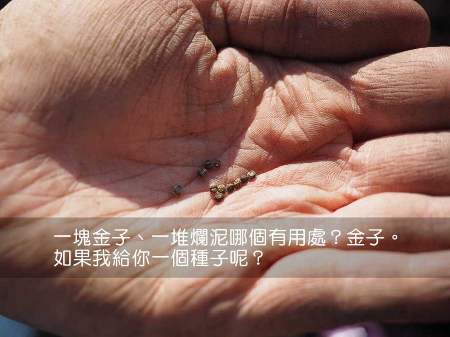 seeds-1117863_1280-2