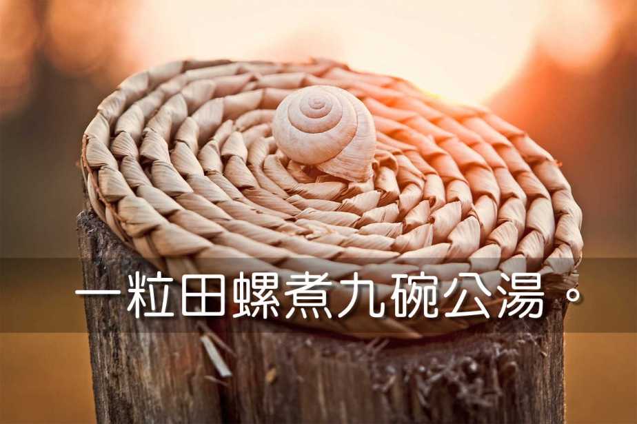 snail-1229894_1280-2