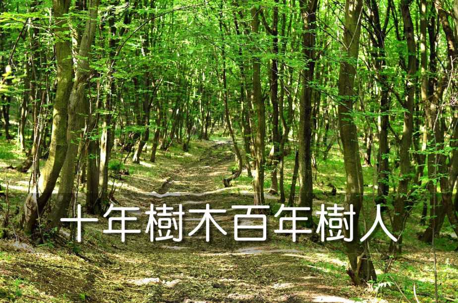 nature-1349108_1280-2