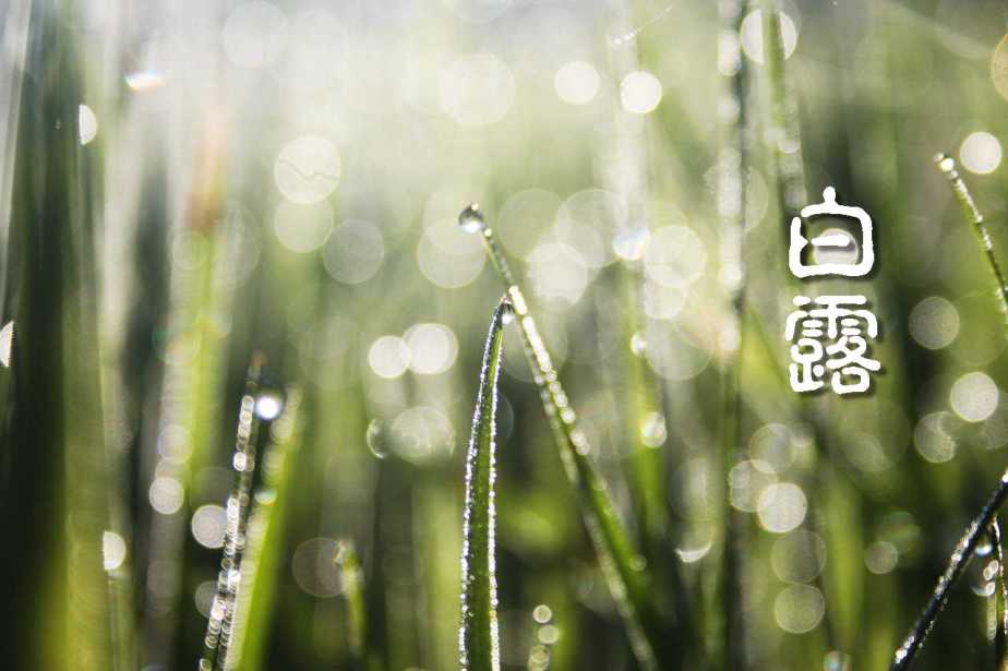 morning-815296_1280-2