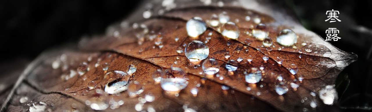 nature-497978_1280-2