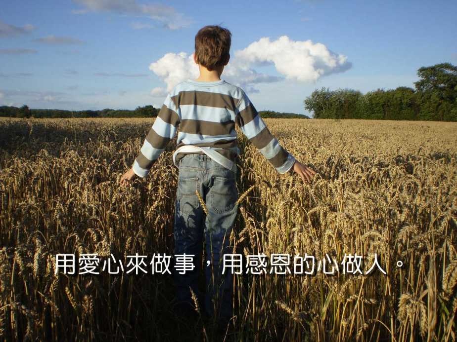 thanksgiving-1680142_1280-2