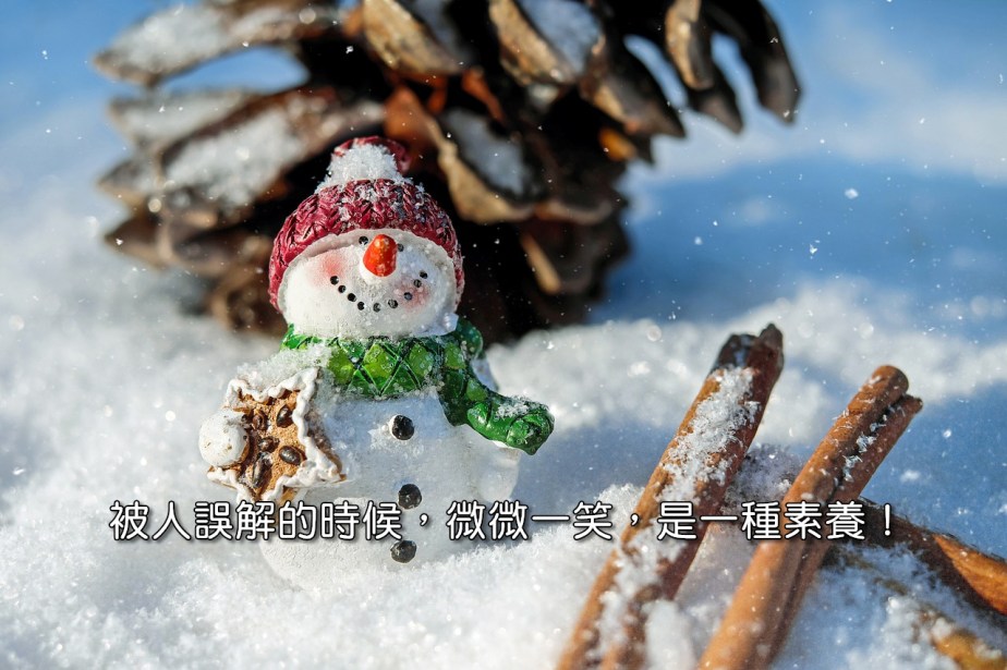 snow-man-1882635_1280-2