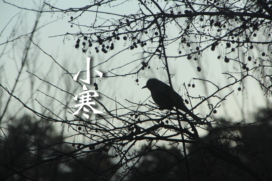 winter-775590_1280-2