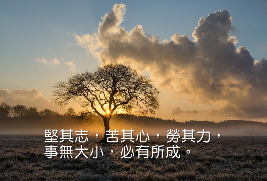 lone-tree-1934897_1280-2