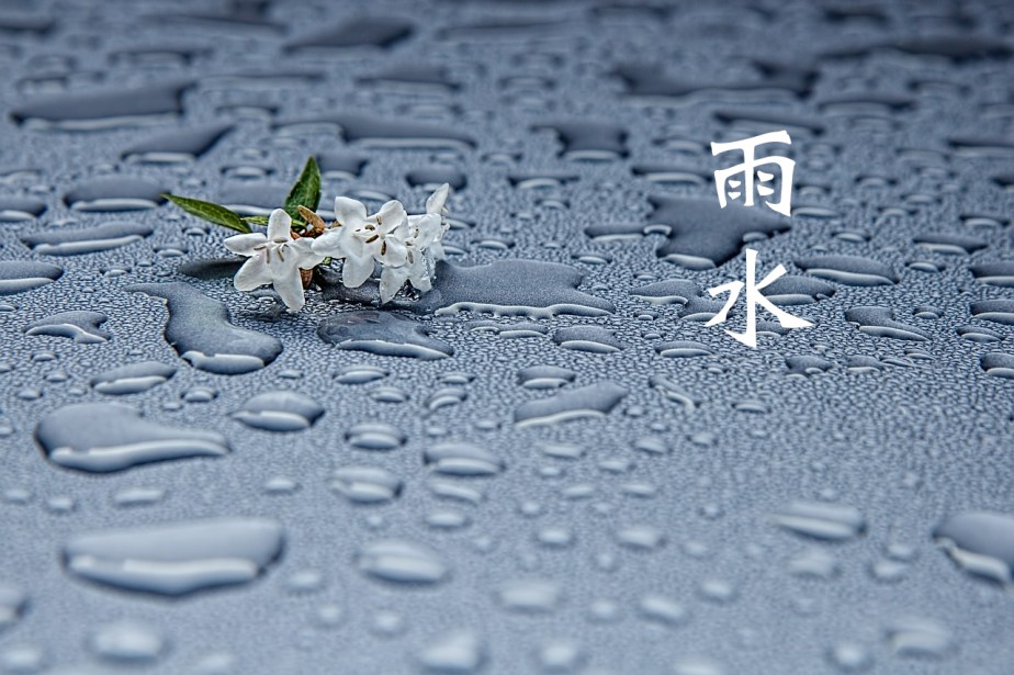 rain-drops-412465_1280