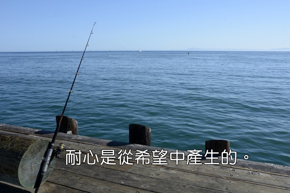 fishing-reel-1787081_1280-2