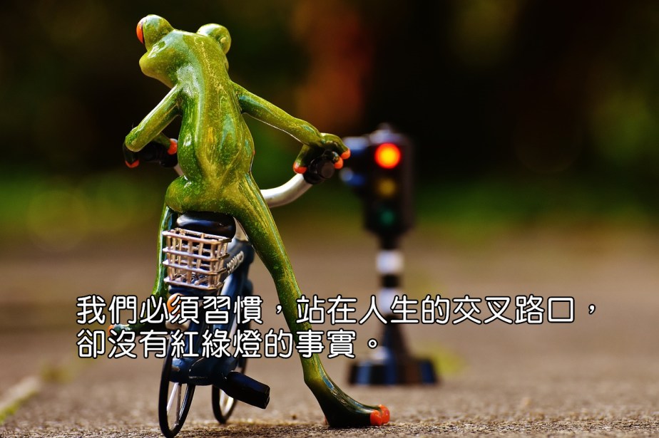 frog-1726766_1280-2