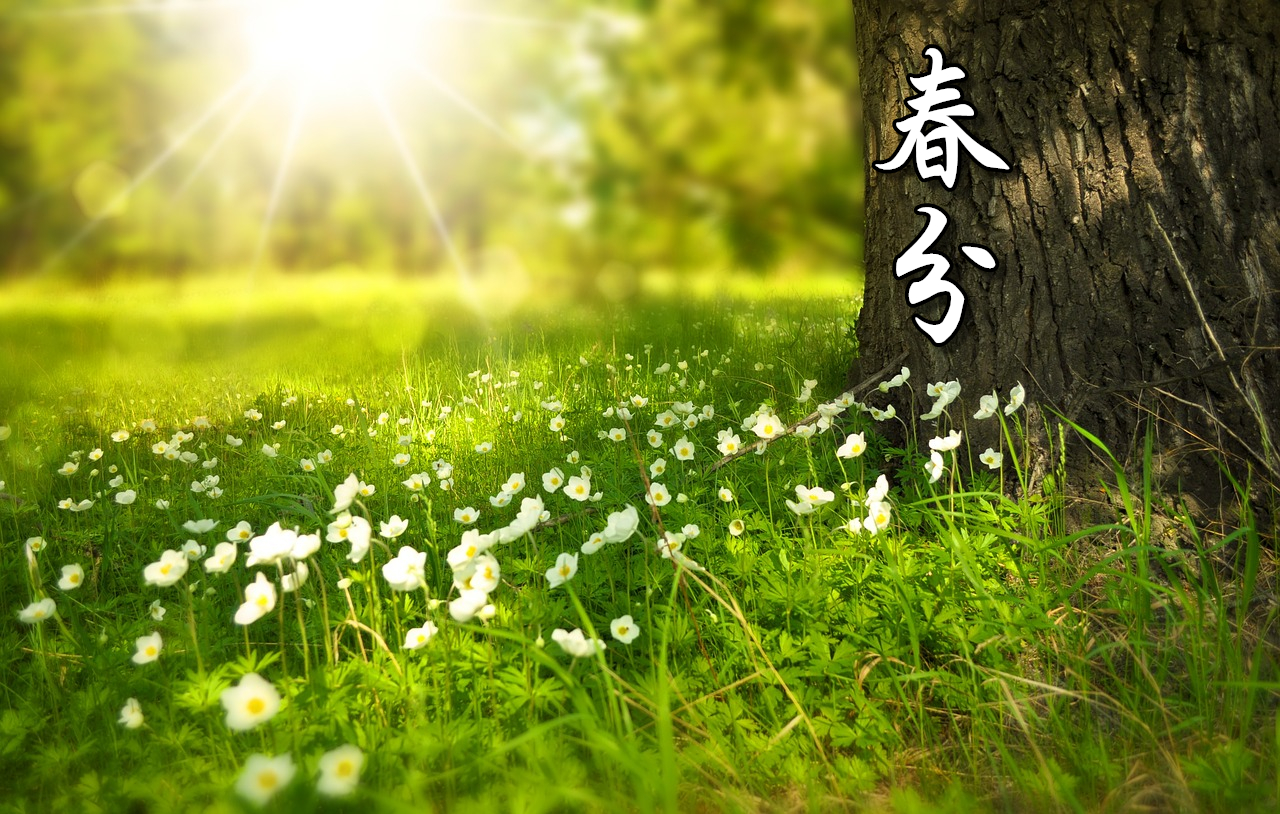 spring-276014_1280-2