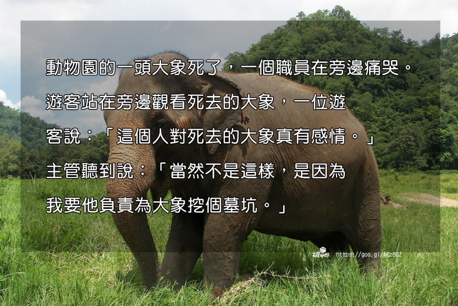 elephant-1686217_1280-2.jpg