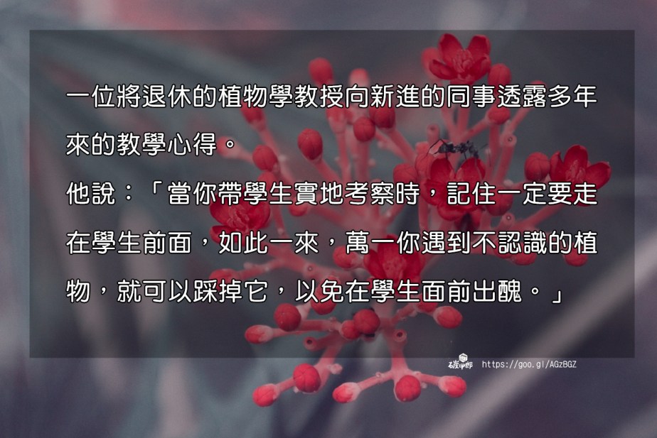 flower-2210444_1280-2