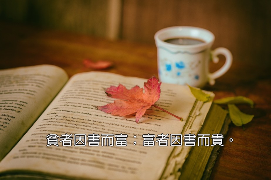 leaves-1076307_1280-2