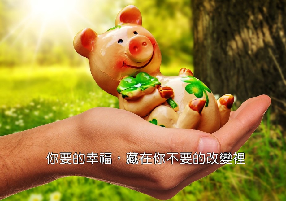 good-luck-1993688_1280-2