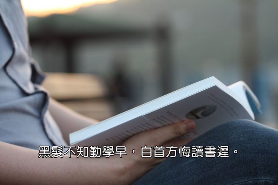 reading-1437841_1280-2