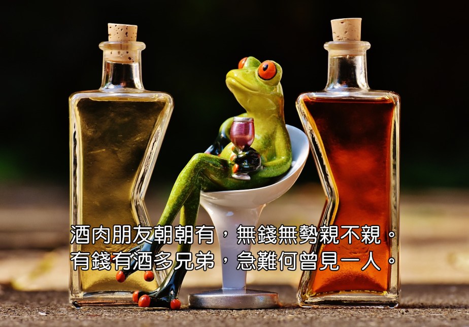 frogs-1650658_1280-2