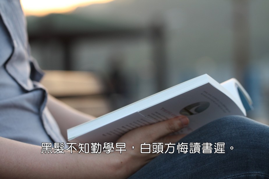 reading-1437841_1280-2