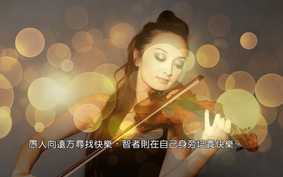 violin-1906127_1280-2