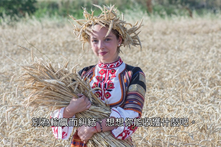 harvest-2460135_1280-2