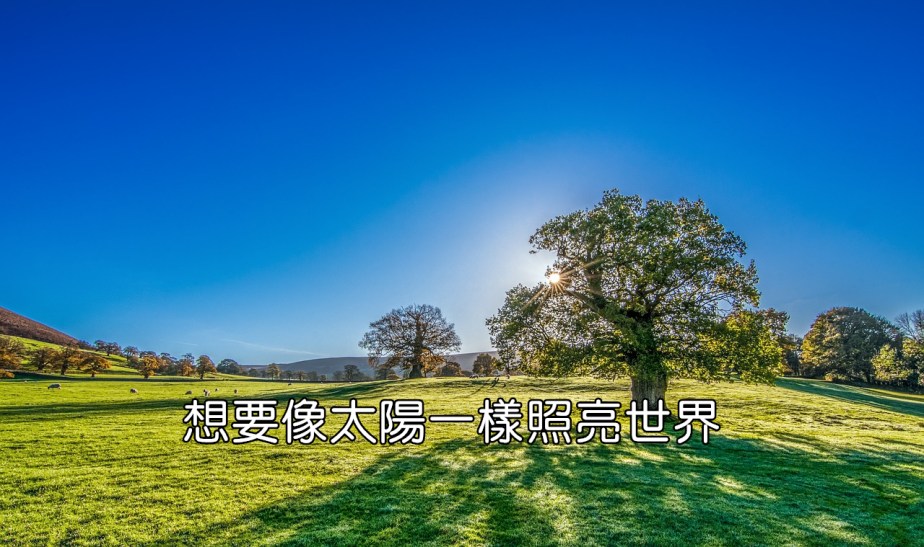 autumn-sunshine-2916763_1280-2